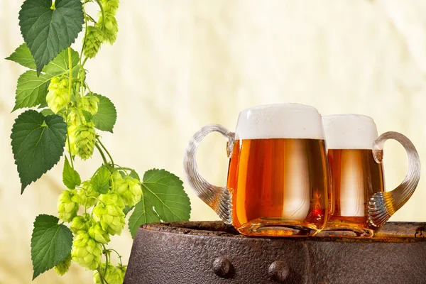 Dois Copos Cerveja Lúpulo Cones — Fotografia de Stock