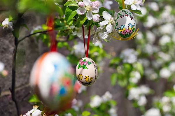 Egss Pascua Colgando Ramita Manzano Jardín — Foto de Stock