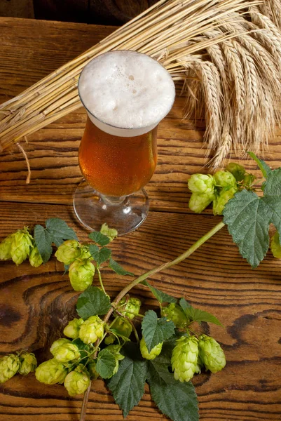Glas Bier Und Rohstoff Für Die Bierproduktion — Stockfoto