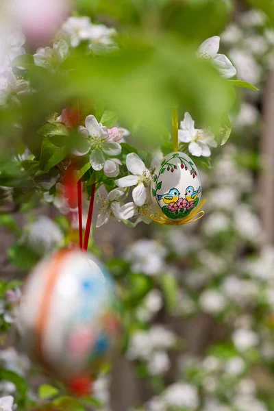 Egss Pascua Colgando Ramita Manzano Jardín — Foto de Stock