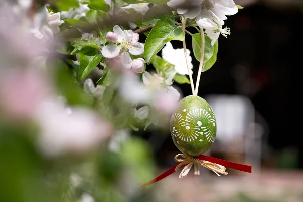 Egss Pâques Accroché Sur Brindille Pommier Dans Jardin — Photo