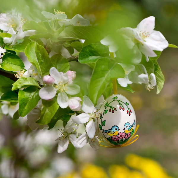 Painted Easter Egss Hanging Apple Tree Springtime — Stock Photo, Image