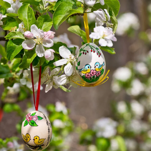 Malowane Wielkanoc Egss Wiszące Drzewie Apple Wiosnę — Zdjęcie stockowe