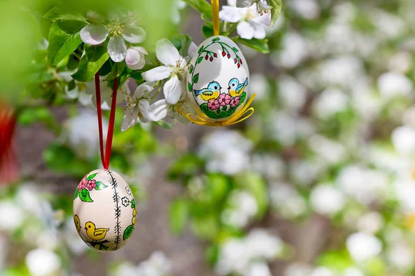 Egss Pascua Pintado Colgando Manzano Primavera — Foto de Stock