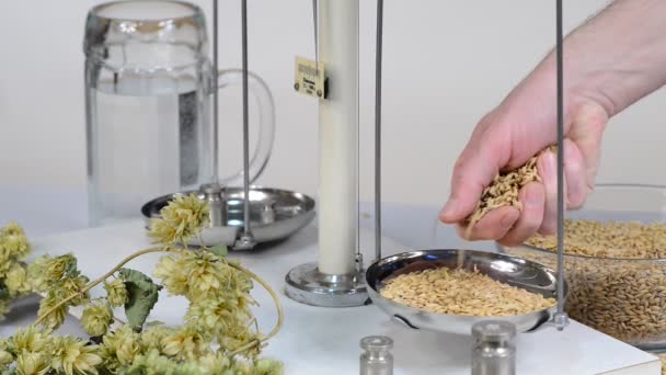 Home Brewing Beer Man Weighs Barley — Stock Video