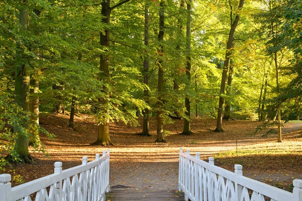 秋の公園で白い小さな橋 — ストック写真