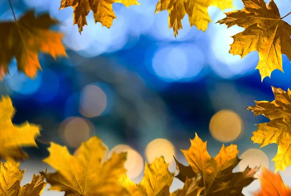 Herbsthintergrund. Blätter Rahmen auf dem blauen Hintergrund — Stockfoto