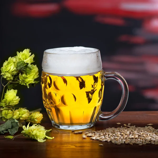 Natura morta con bicchiere di birra e orzo — Foto Stock