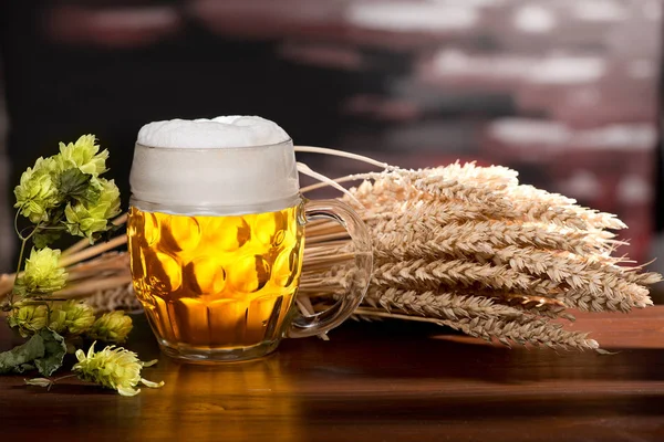 Stillleben mit Bier und Gerste — Stockfoto