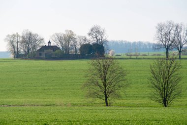 İlkbaharda ağaçlarve eski bir kilise ile Çayır