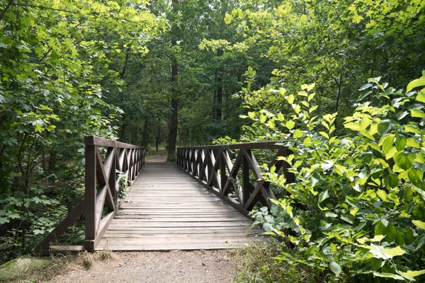 Ponte de madeira no parque — Fotografia de Stock
