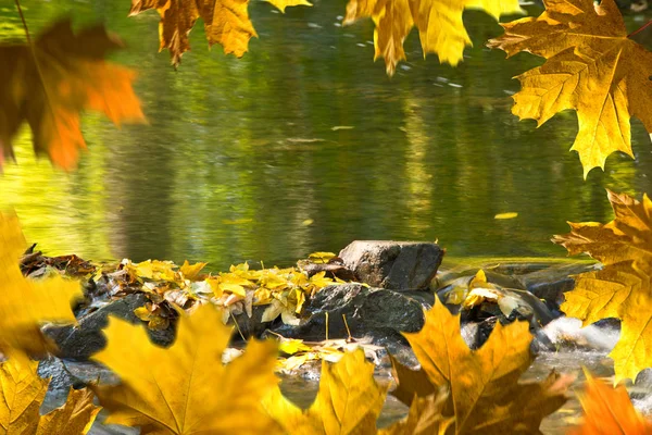 Detail der Steine im Bach in der Herbstsaison. Herbstrahmen — Stockfoto
