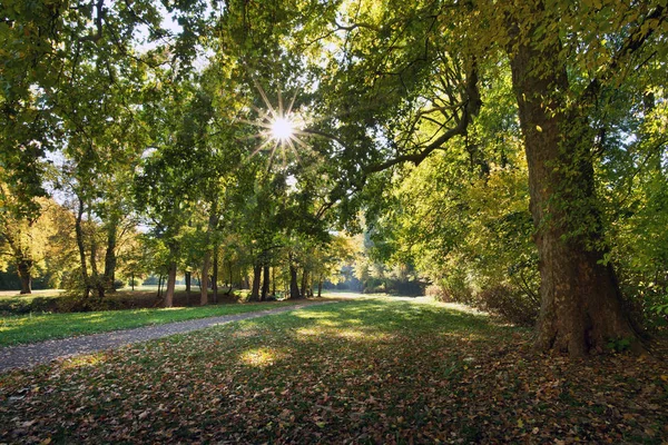 Herfst landschap met zon en zon balken — Stockfoto