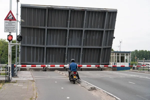 Hollanda'da asma köprü