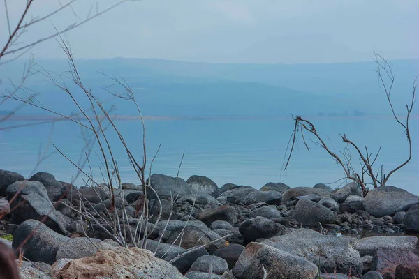 Celile Denizi. İsrail, kış.