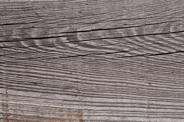 gri yıpranmış ahşap doku büyüme halkaları çizgili desen gösteren