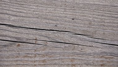 gri yıpranmış ahşap doku büyüme halkaları çizgili desen gösteren