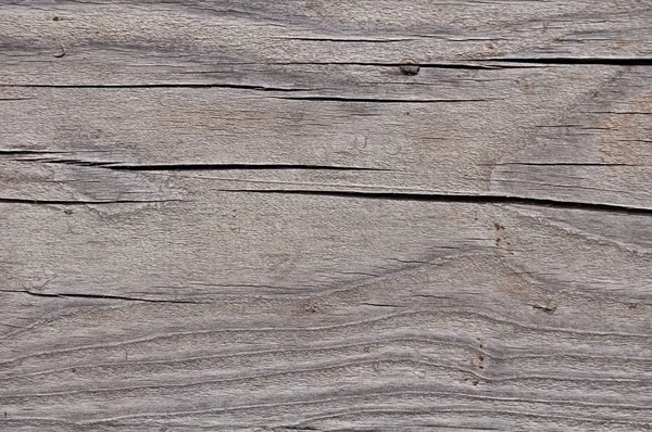 gri yıpranmış ahşap doku büyüme halkaları çizgili desen gösteren
