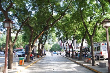 Ağaçlar Çinli bir şehirde iki tarafında çevrili bir geçit resmini.