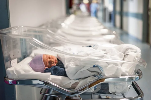 Niño Recién Nacido Pequeña Cama Hospital Portátil Transparente — Foto de Stock