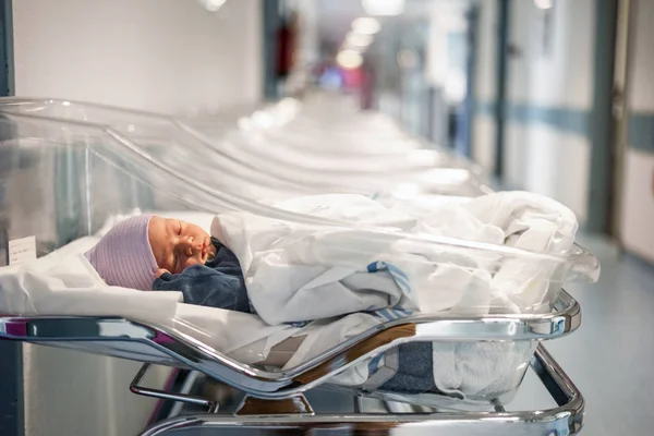 Newborn Baby Boy His Small Transparent Portable Hospital Bed — Stock Photo, Image