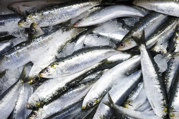 Beaucoup Petites Sardines Dans Glace Créant Motif Poissonneux — Photo