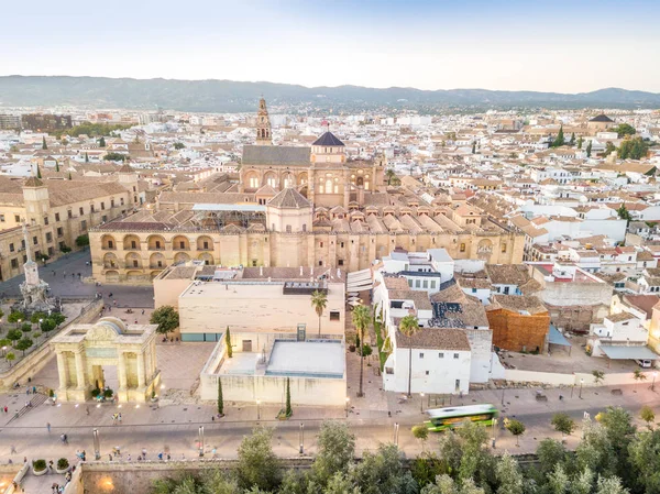 清真寺的鸟图 西班牙安达卢西亚科尔多瓦市中心的大教堂和圣拉斐尔胜利拱门 — 图库照片