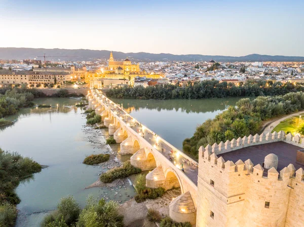 Widok Słynny Most Rzymski Meczet Katedra Cordoba Andaluzja Południowa Hiszpania — Zdjęcie stockowe