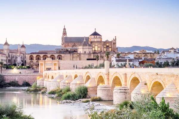 Romerska Bron Och Katedral Moskén Som Landmärken Cordoba Andalusien Spanien — Stockfoto