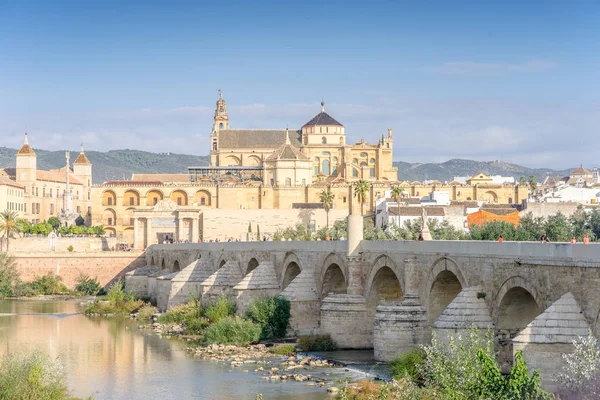 Ponte Romano Cattedrale Moschea Come Punti Riferimento Cordova Andalusia Spagna — Foto Stock