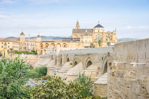 Romerska Bron Och Katedral Moskén Som Landmärken Cordoba Andalusien Spanien — Stockfoto