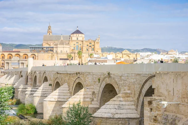 Romerska Bron Och Katedral Moskén Som Landmärken Cordoba Andalusien Spanien — Stockfoto