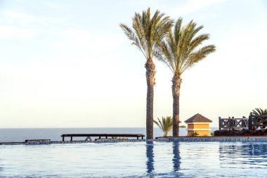 Palmiye ağacı ve bir tatil okyanus manzaralı Yüzme Havuzu