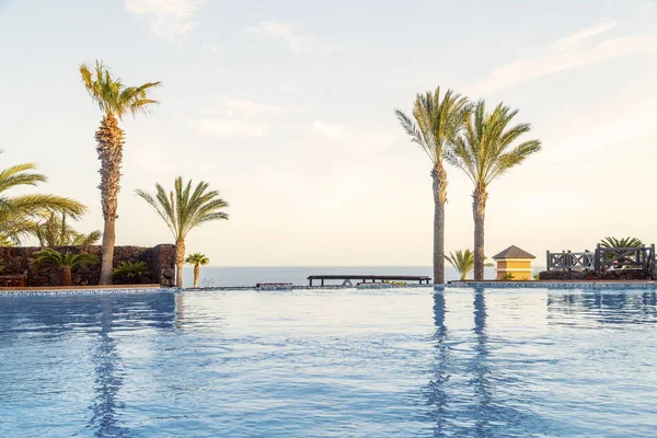 Swimming pool with palm tree and view of the ocean in a resort — Stock Photo, Image