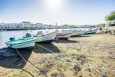 Portekiz 'in Tavira merkezindeki birçok balıkçı teknesi