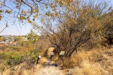 A stone pathway winds through dry woodland and bush at the National Botanic Garden, Windhoek, Namibia, with interpretive signs along the trail and distant views of the city beyond the trees.
