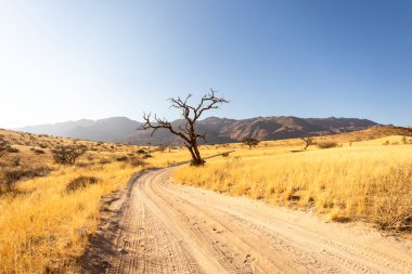 Solitaire is a remote settlement in Namibia, located on the edge of the Namib Desert, surrounded by dunes and mountain ranges.