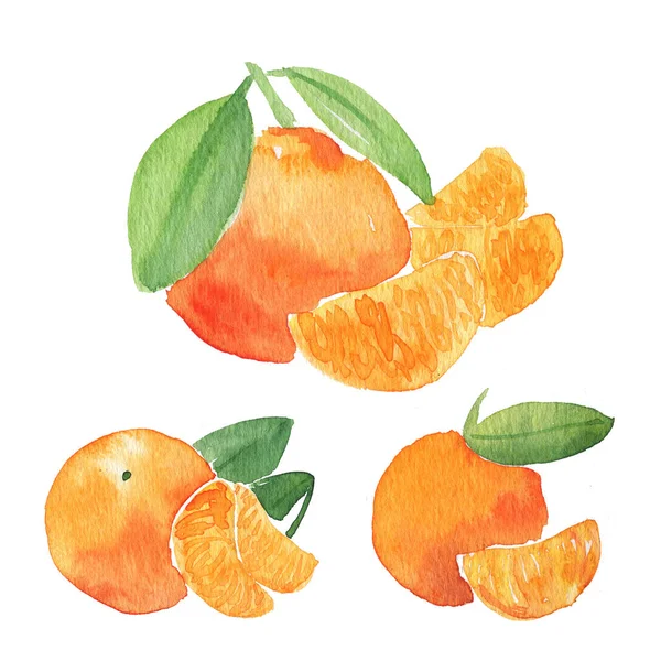 Πορτοκαλί ακουαρέλα εικονογράφηση. Πορτοκαλί υποκατάστημα εσπεριδοειδή φρούτα, φέτα πορτοκάλι φρέσκο — Φωτογραφία Αρχείου