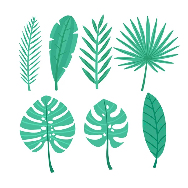 Conjunto de hojas tropicales verdes. Ilustración vectorial — Vector de stock