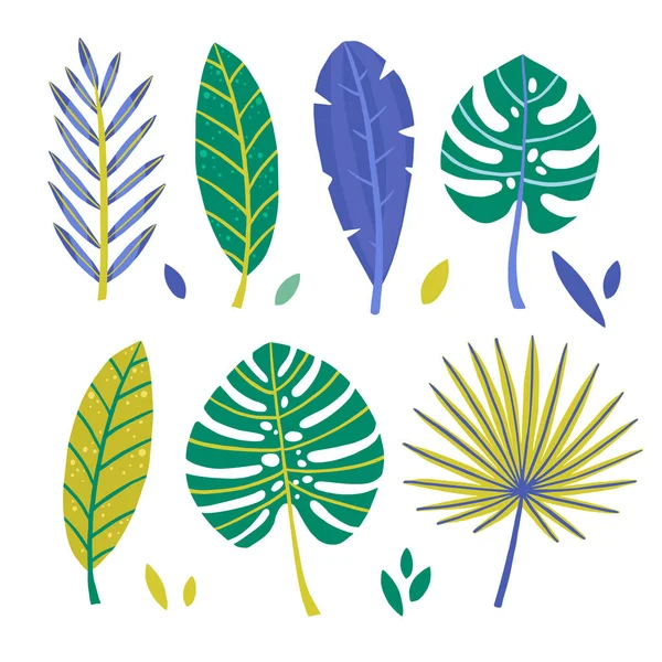 추상적 인 열대 잎의 집합입니다. 벡터 디자인 요소입니다. 다채로운 일러스트 벡터 손으로 그린 스타일. — 스톡 벡터