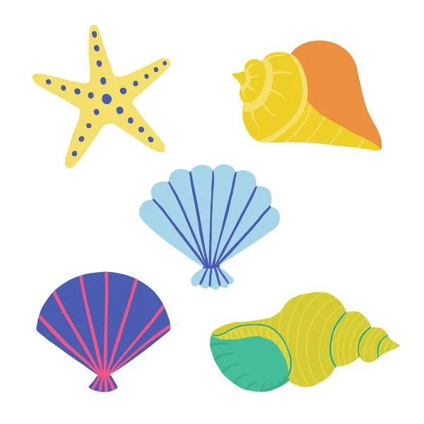 Víctor conchas marinas y etiquetas de estrellas de mar. ilustración conjunto de dibujo a mano . — Vector de stock