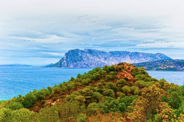 Tavolara Olbia-Tempio, Sardunya, İtalya, San Teodoro tarafından trafik kavaşağında Adası