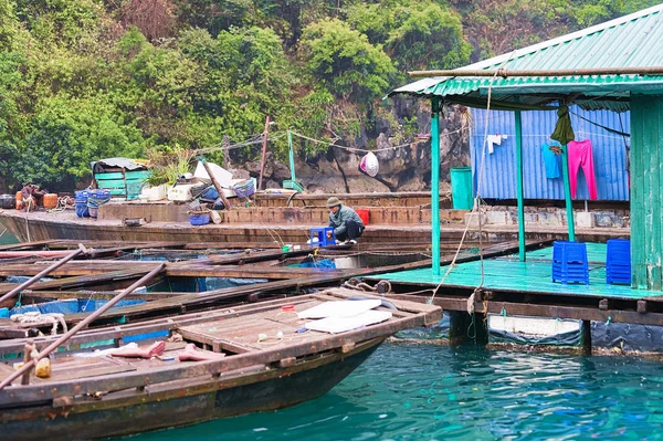 越南下龙 2016年2月23日 哈龙湾漂浮渔村牡蛎养殖场 — 图库照片