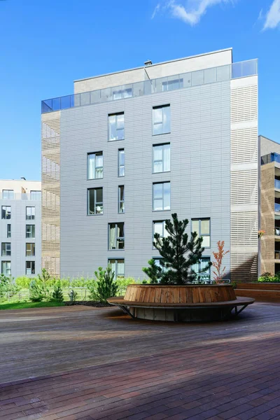 Pine tree at architectural complex of apartment residential buildings. And outdoor facilities.