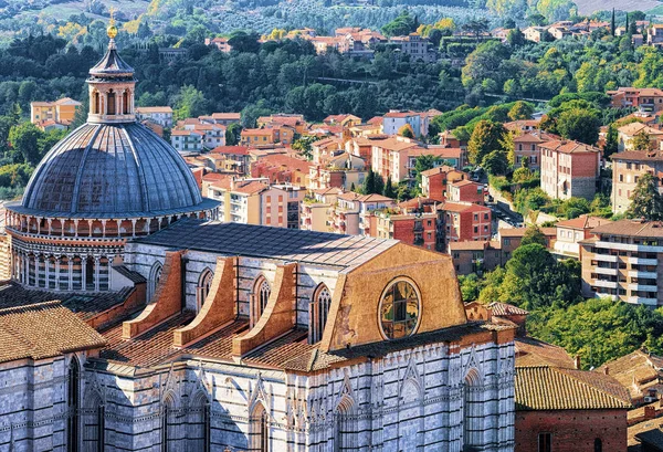Міський Пейзаж Купол Собору Сієни Тоскана Італія — стокове фото