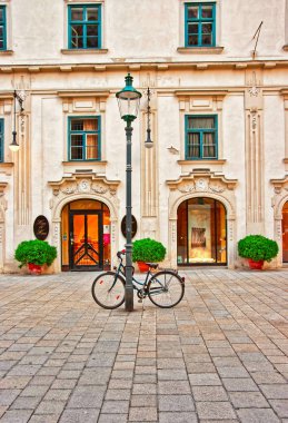 Viyana, Avusturya - 31 Ağustos 2013: Stephansplatz Viyana, Avusturya Bisiklet.