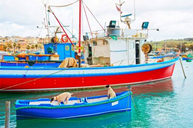 Luzzu köpeklerde tekneler Marsaxlokk Bay Malta Island renkli