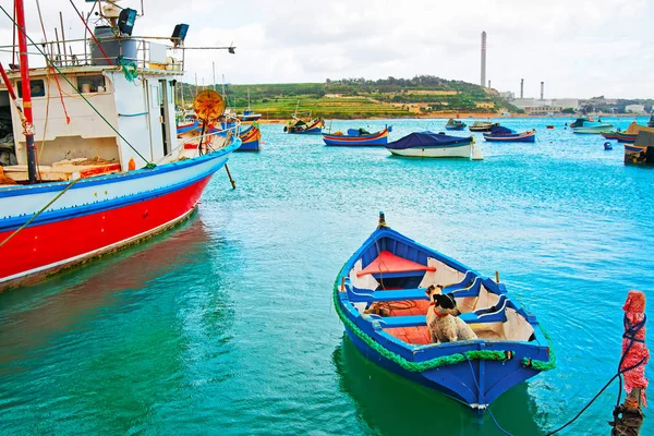 Psi Luzzu Barevné Lodě Marsaxlokk Bay Městě Ostrov Malta — Stock fotografie