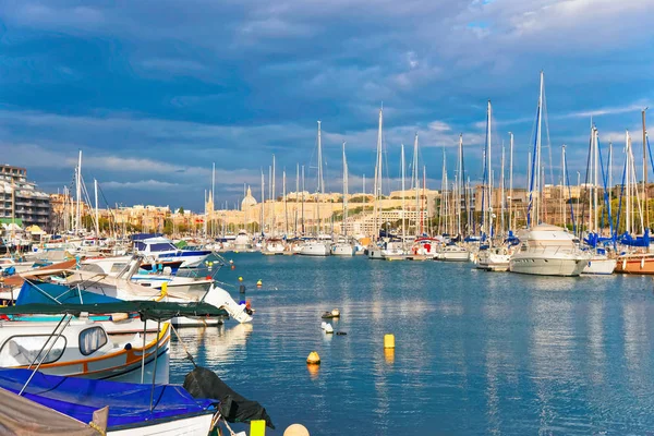 Motorlu tekneler ve Msida Marina liman Malta Adası