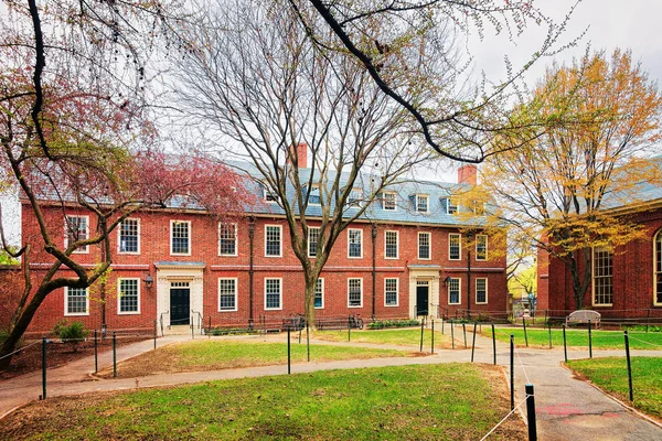 Cambridge, Amerika Birleşik Devletleri - 29 Nisan 2015: Harvard Yard, Harvard Üniversitesi, Cambridge, Massachusetts, Ma, ABD içinde bina yurt